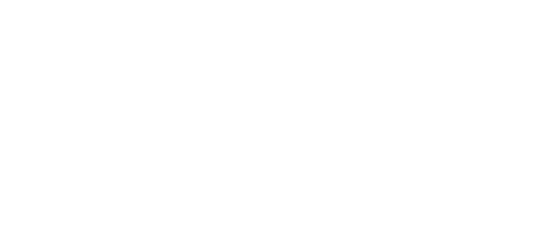 Platinum sponsor logo