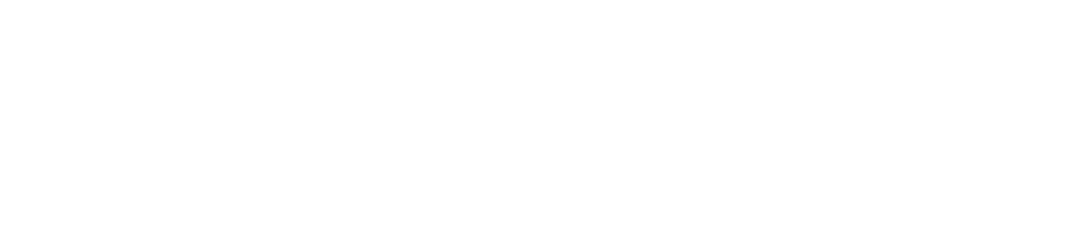 Platinum sponsor logo